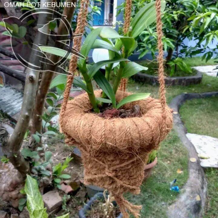 (COCOCRAFT SOUVENIR) COCONUT CORN ORCHID POT // COOL UNIQUE HANGING POT