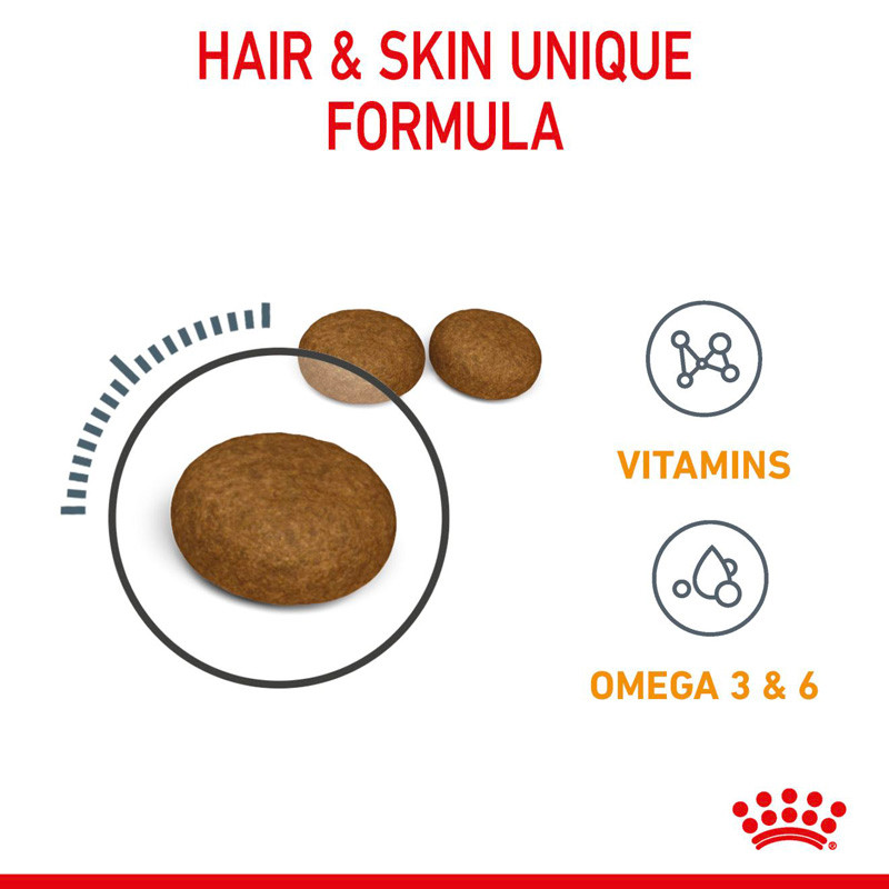 ROYAL CANIN Hair & Skin Care طعام قطط بالغة للبشرة والشعر — صورة 4