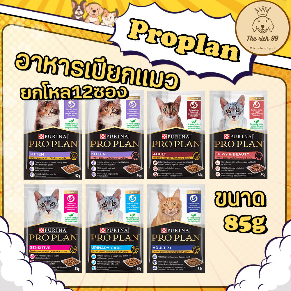 (โหล) Proplan อาหารเปียกแมวโปรแพลน 85g สำหรับลูกแมว แมวโต แมวเลี้ยงในบ้าน