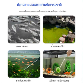 กรองตู้ปลานิเวศ กล่องกรองตู้ปลา ถังกรอง วงจรนิเวศวิทยา เพิ่มออกซิเจน เลี้ยงปลา เลี้ยงดอกไม้