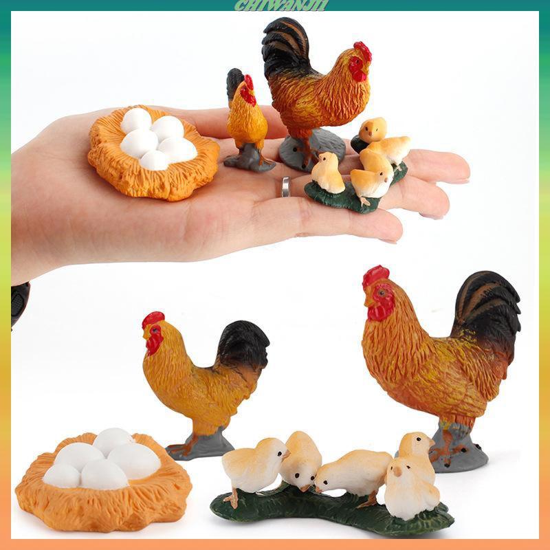 [เท่าไหร่1] Animal Chicken Life Cycle Growth Cycle Model Hen Rooster Figures สําหรับเด็ก