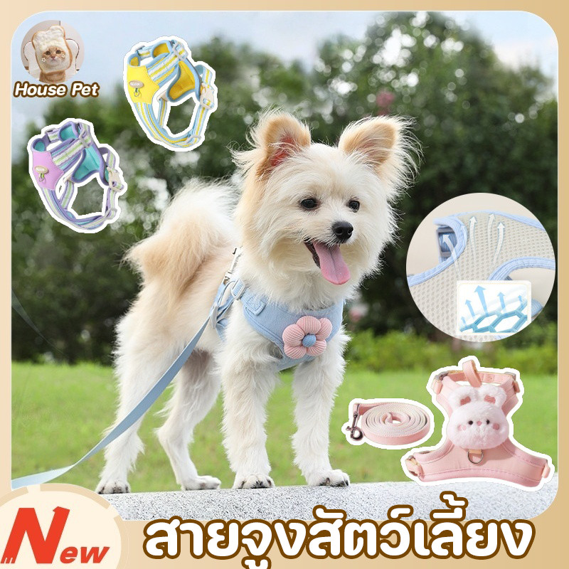 เสื้อจูงแมว สายจูงสัตว์เลี้ยง พร้อมสายจูง ผ้าตาข่าย ป้องกันหลุด ปรับขนาดได้ ระบายอากาศดี น้ำหนักเบา