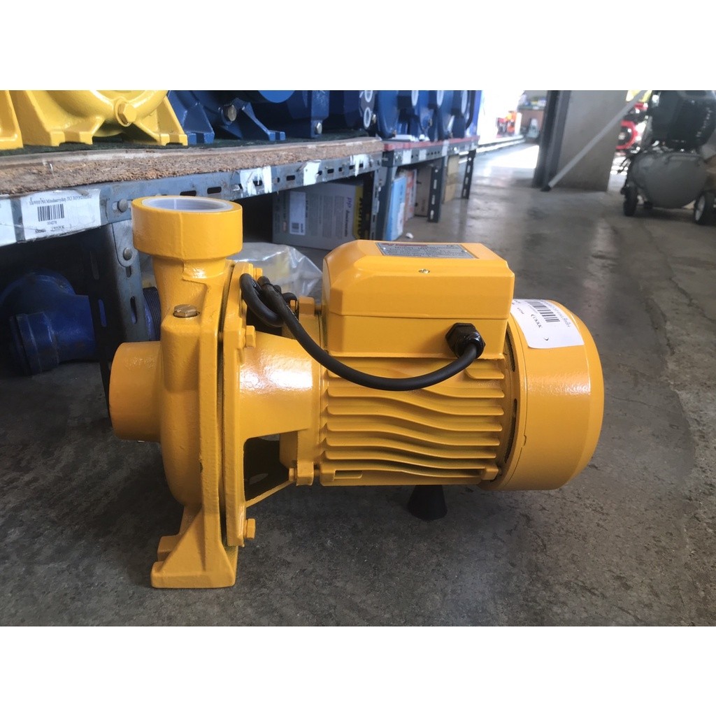 ปั๊มน้ำไฟฟ้า ปั๊มหอยโข่ง ปั๊มน้ำ 2 นิ้ว 2 แรงม้า (220V) ขดลวดทองแดงแท้ 100% ใบพัดทองเหลือง อึด ทน น้ำเยอะ