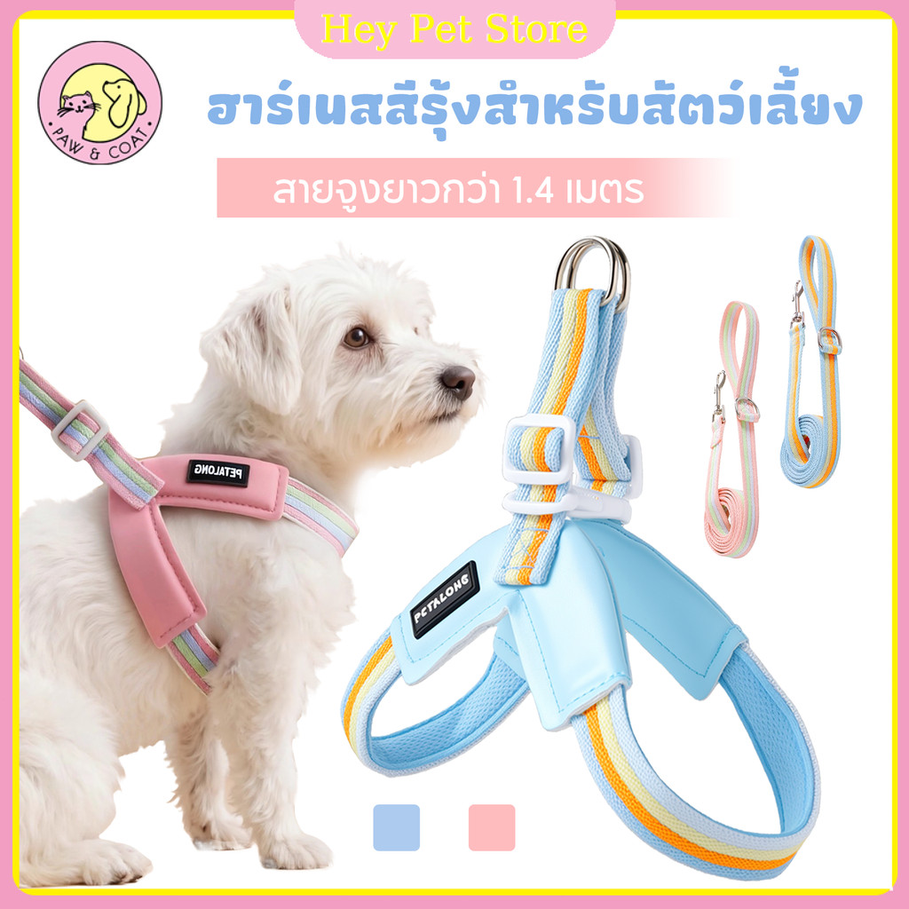 Pet Store:สายรัดสัตว์เลี้ยง สายรัดแมว ผู้ให้บริการลูกสุนัข ชุดสายจูงสายจูงสัตว์เลี้ยงสะ ปรับได้