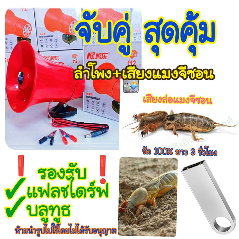 ชุดเสียงล่อแมงจีซอน กระชอน ลำโพงฮอร์น แฟลชไดร์ฟเสียงจีซอน ลำโพงฮอร์น USB MP3 35 วัตต์ DC 12v TF card USB - รูปที่ 4