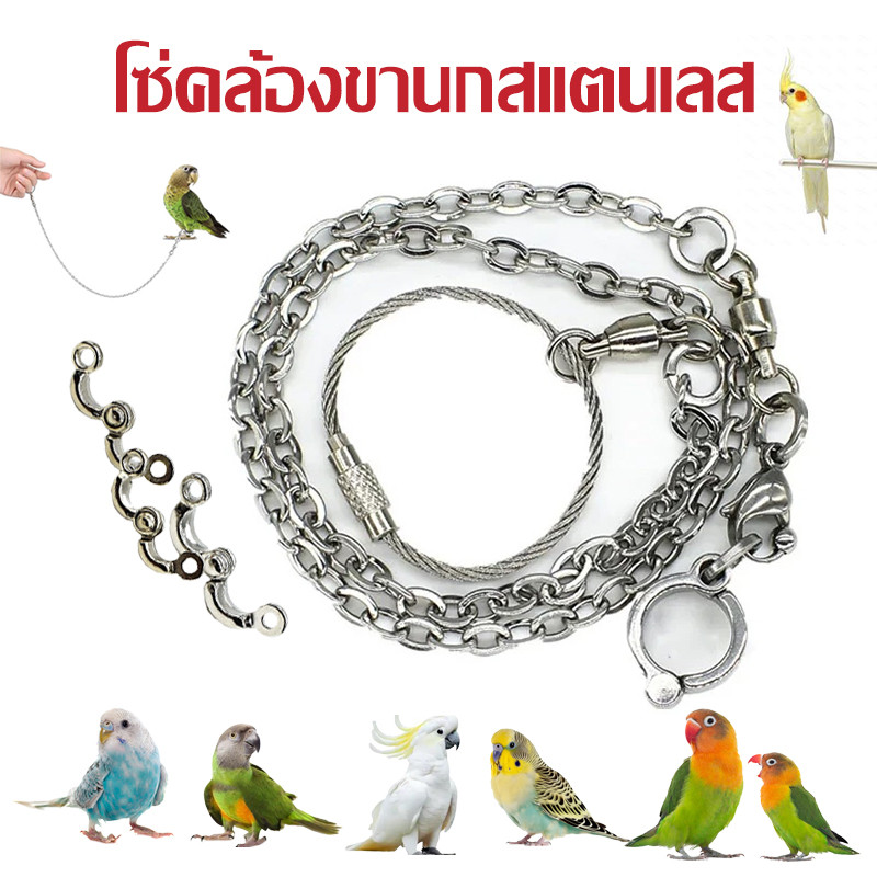 โซ่คล้องขานกสแตนเลส ห่วงขานก ห่วงเปิดนก วัสดุสแตนเลส มีขนาดใดๆ ป้อนกันนกหลุด นกแก้ว  หงษ์หยก