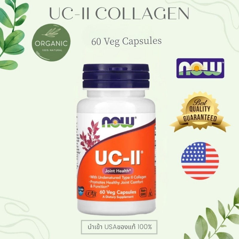 [จัดส่งโดยตรง] UC II ยูซีทู คลอลาเจน Collagen ไทพ์ ทู เหมาะกับผู้ที่ใส่ใจสุขภาพการเคลื่อนไหว 60 Cap  NOW FOOD
