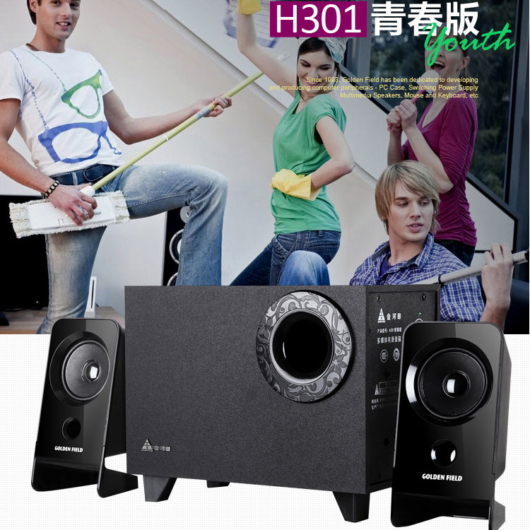 Golden Field/Golden Field H301 คอมพิวเตอร์เสียง Active Subwoofer 2.1 ลําโพง