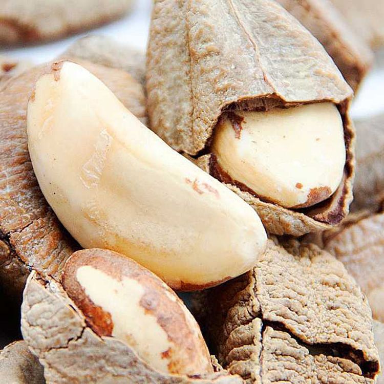 สินค้าใหม่พร้อมสต็อก Abalone Fruit g Bagged Salt Baked Brazil Nuts Desert Fruit Bulk Scale ผลไม้แห้ง