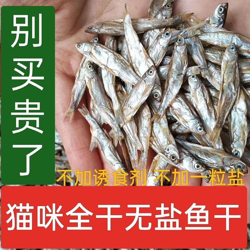 猫零食小鱼干淡水无盐鱼干猫咪零食增肥发腮补钙宠物零食猫粮20260116Cat Snacks Small Fish Dried Freshwater Salt-Free Fish Dried Cat 