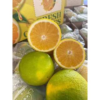 ส้มเช้งน้ำผึ้ง 1 kg. หวาน หอม อร่อย ปลอกแช่เย็นทานชื่นใจ