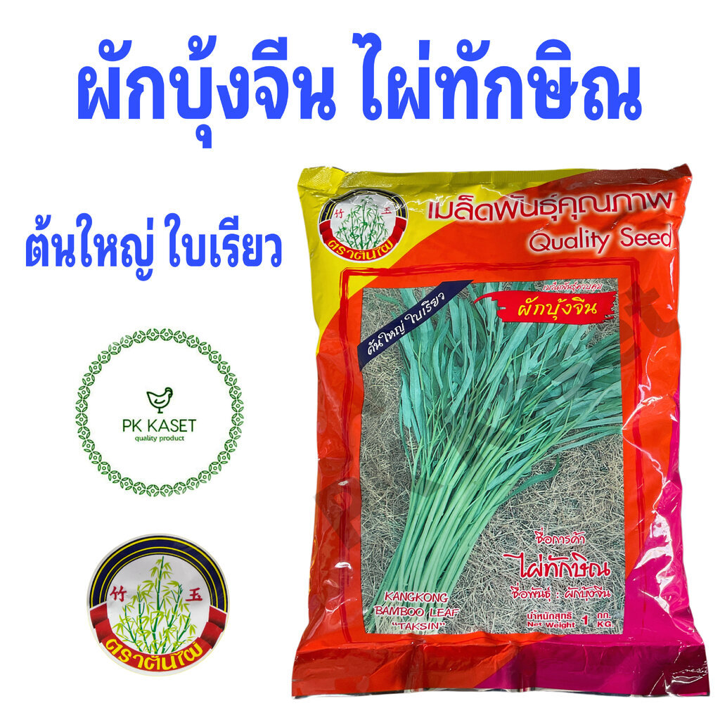 เมล็ดผักบุ้ง ไผ่ทักษิณ 1 kg ผักบุ้ง ต้นไผ่ ต้นใหญ่ ใบเรียว ของใหม่