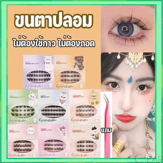 ซีรีส์สัตว์ ขนตาปลอม+แหนบฟรี 3D มีกาวในตัว ไม่ต้องใช้กาว ขยายตา ติดทน ใช้ซ้ำได้ เหมาะสำหรับมือใหม่ 36/60 ช่อ/กล่อง