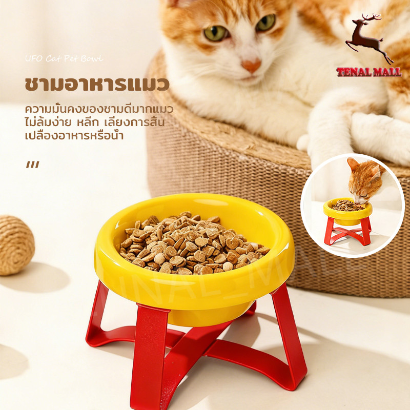 ชามอาหารหมา ชามข้าวแมว ชามอาหารสำหรับสัตว์เลี้ยงที่ยกสูง ปรับระดับความสูงได้ ลายน่ารัก