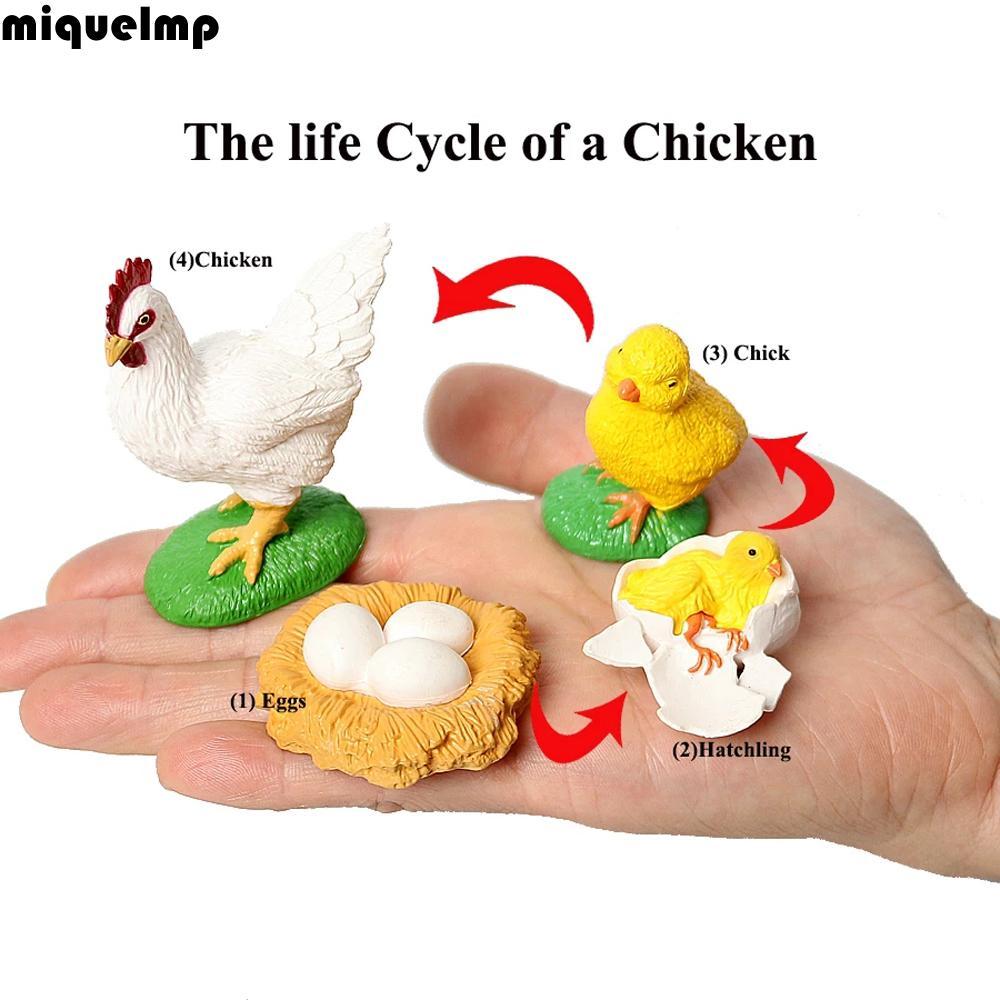 MIQUEL จําลองสัตว์ของเล่นวิทยาศาสตร์โมเดลพลาสติกแมลงสัตว์สื่อการสอน Spider การศึกษาตัวเลขการกระทํา