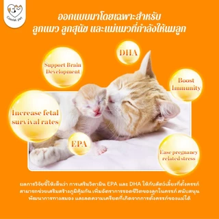 Cassiel Pet น้ำมันปลาแซลมอนซึ่งมีวิตามินโอเมก้า 3 เหมาะสำหรับการดูแลผิว ขน และระบบภูมิคุ้มกันในสุนัขและแมว