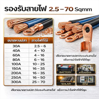 จากไทย SC หางปลาทองแดง ขนาด 10-500 แอมป์ ขั้วต่อทองแดง, ทองแดงบริสุทธิ์แท้ 💯%, ตัวเชื่อม