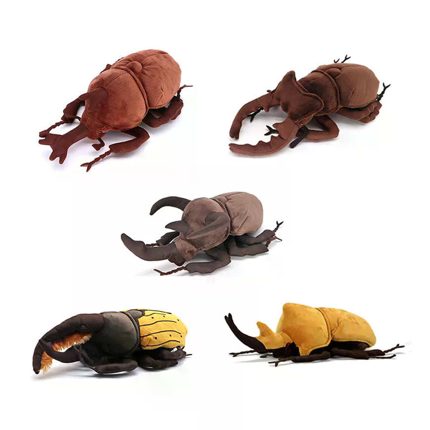 จําลองแมลงชุดตุ๊กตาน่ารัก Stag Beetle Nanyang Big Beetle Unicorn Mammoth Big Beetle ของเล่นตุ๊กตา