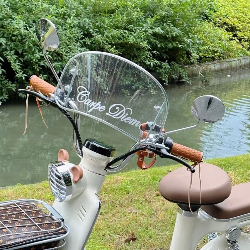 Retro Queen Windshield Moss Strawberry Bear กระจกรถยนต์ไฟฟ้าสมัยใหม่เหมาะสําหรับ TDT1348Z [cxj]