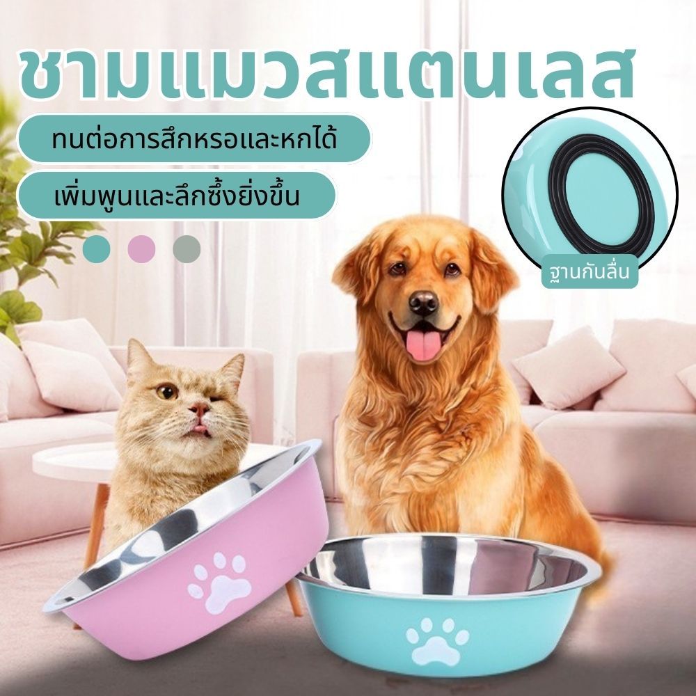 ชามอาหารสุนัข และ แมว ชามสแตนเลส 304 มียางกันลื่น