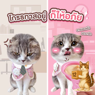 (ยกโหล 12 ซอง) Ginno Spoon ขนมแมวเลีย กินโนะ รูปแบบช้อนป้อน ป้อนง่าย ไม่เลอะมือ แมวเลีย ขนาด 40 กรัม