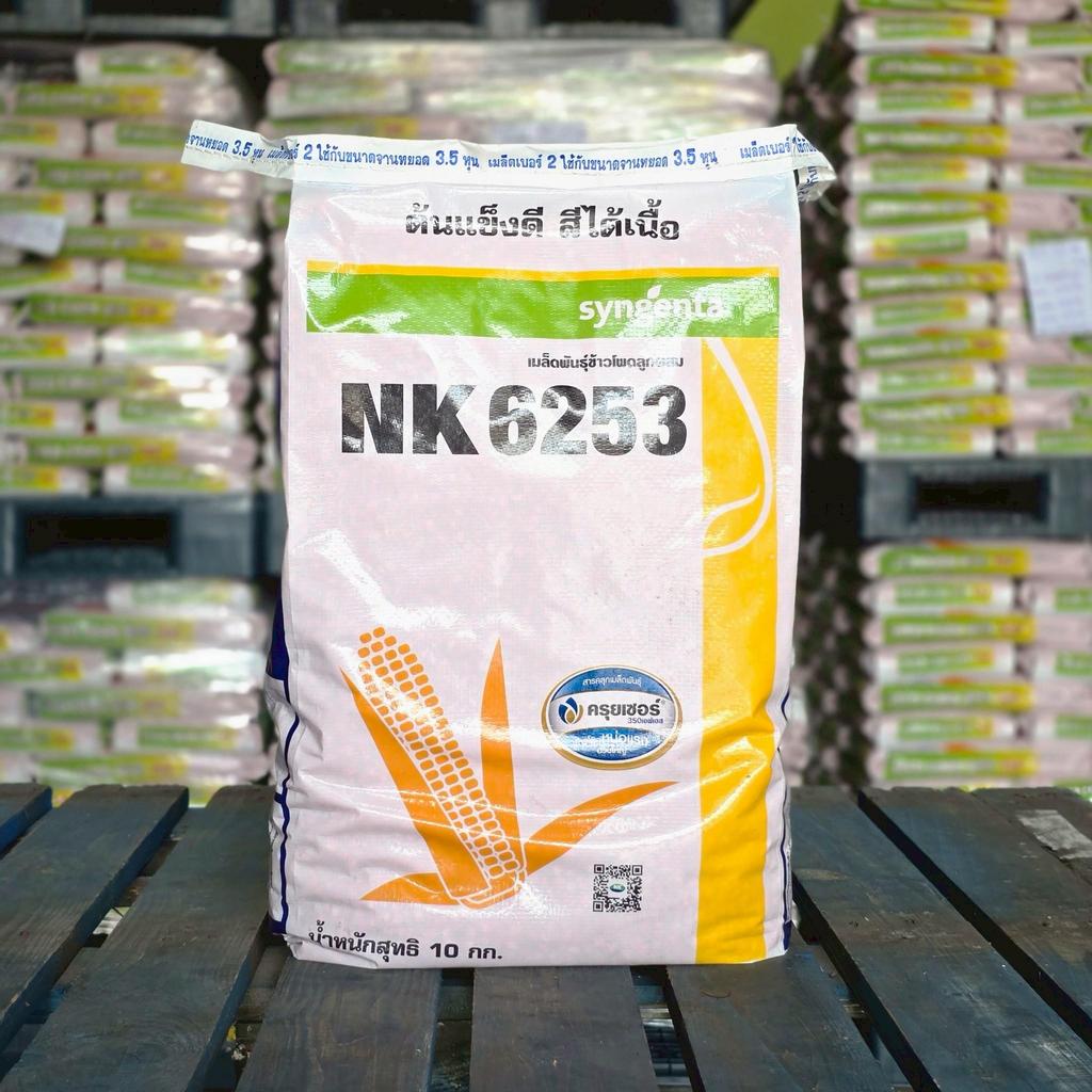 เมล็ดพันธุ์ข้าวโพด NK 6253 : ขนาด 10 กิโลกรัม (3.5หุน) ยืนต้นดี ต้นแข็งดี สีได้เนื้อ