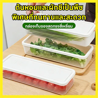กล่องเก็บอาหารพลาสติกเกรดพรีเมียม สุดยอดการถนอมอาหาร ฝานุ่ม ป้องกันกลิ่น ขนาด 29 ซม.