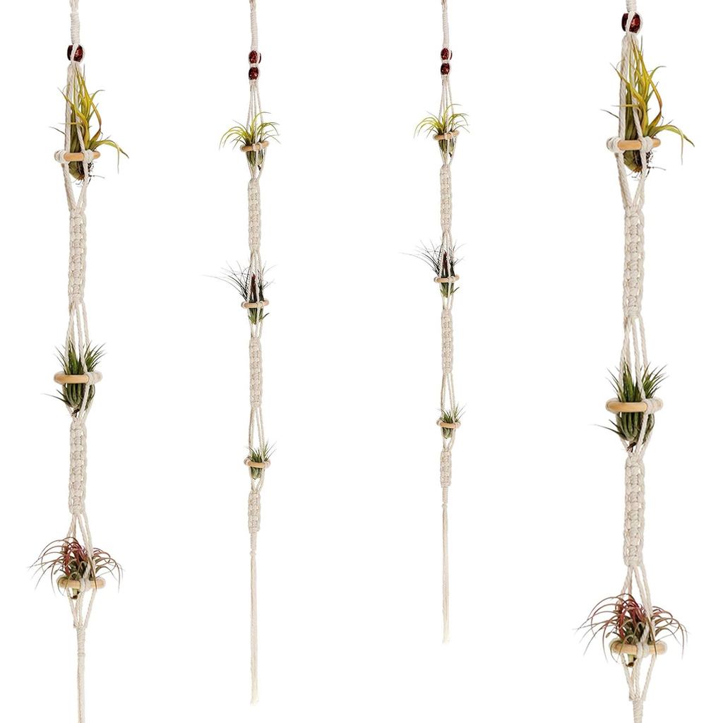 Shappy 4 ชิ้น Air Plants Holders Hanger Air Plant Wall Hanging Handmade เชือกแขวนผู้ถือพืชทอ 4 ตะขอส
