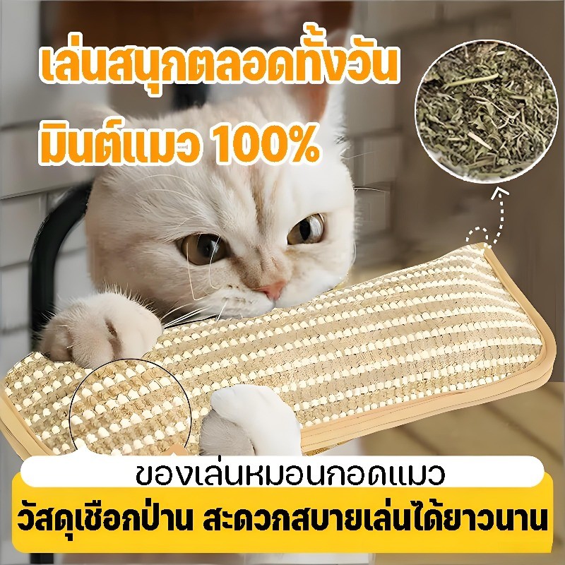 กัญชาแมวแท้ 100% หมอนที่มีแคทนิปในตัว ป้องกันกระดูกสันหลังส่วนคอ ที่ลับเล็บแมว ทนต่อการสึกหรอ
