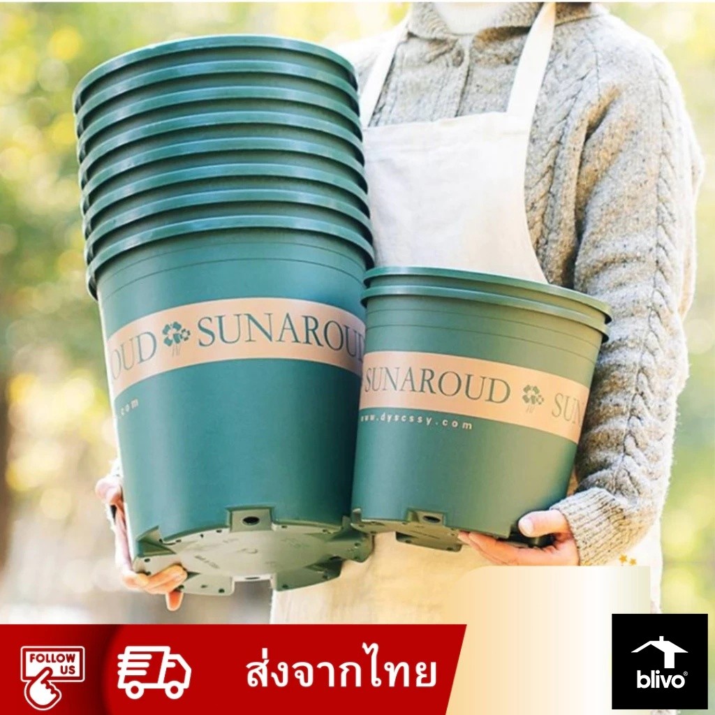 กระถางต้นไม้ สีเขียว 5-11 นิ้ว ระบายน้ำดีแบบพลาสติก กระถางดอกไม้ญี่ปุ่นสีเขียว