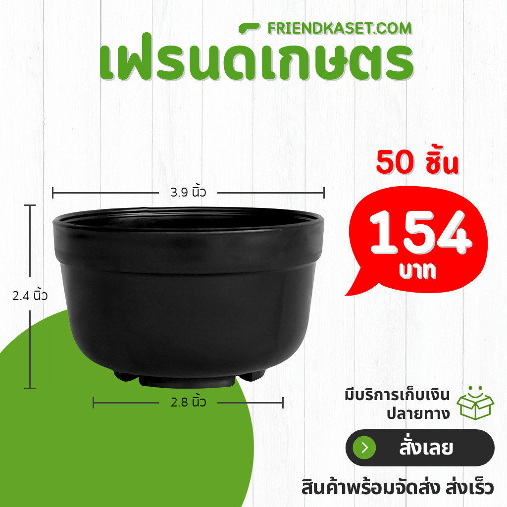 กระถาง กระถางแคคตัส ถ้วยจีน 5 นิ้ว สีดำ - รูปที่ 6