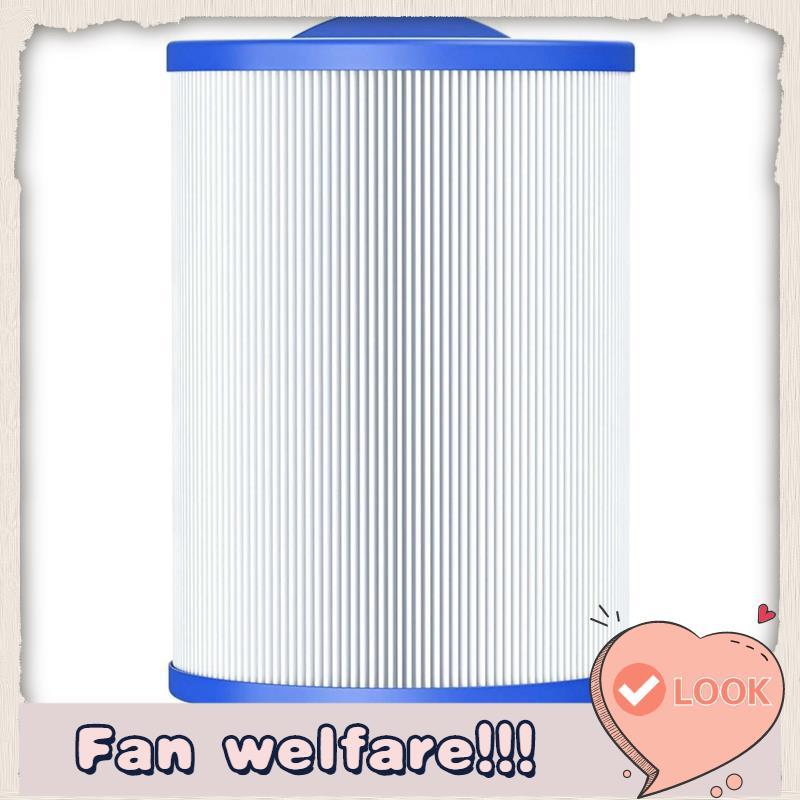 กรองสปาสําหรับ 6CH-940, PWW50P3, FC-0359, Aber 03FIL1400, ด้านหน้า Access Skimmer