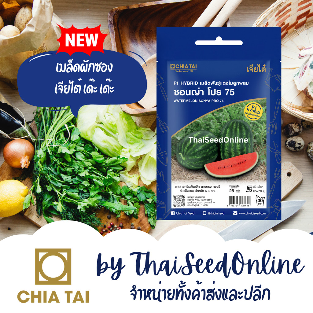 CTSE เมล็ดพันธุ์ แตงโม ซอนญ่า โปร75 25 เมล็ด ตราเจียไต๋ Sonya Pro 75 Watermelon