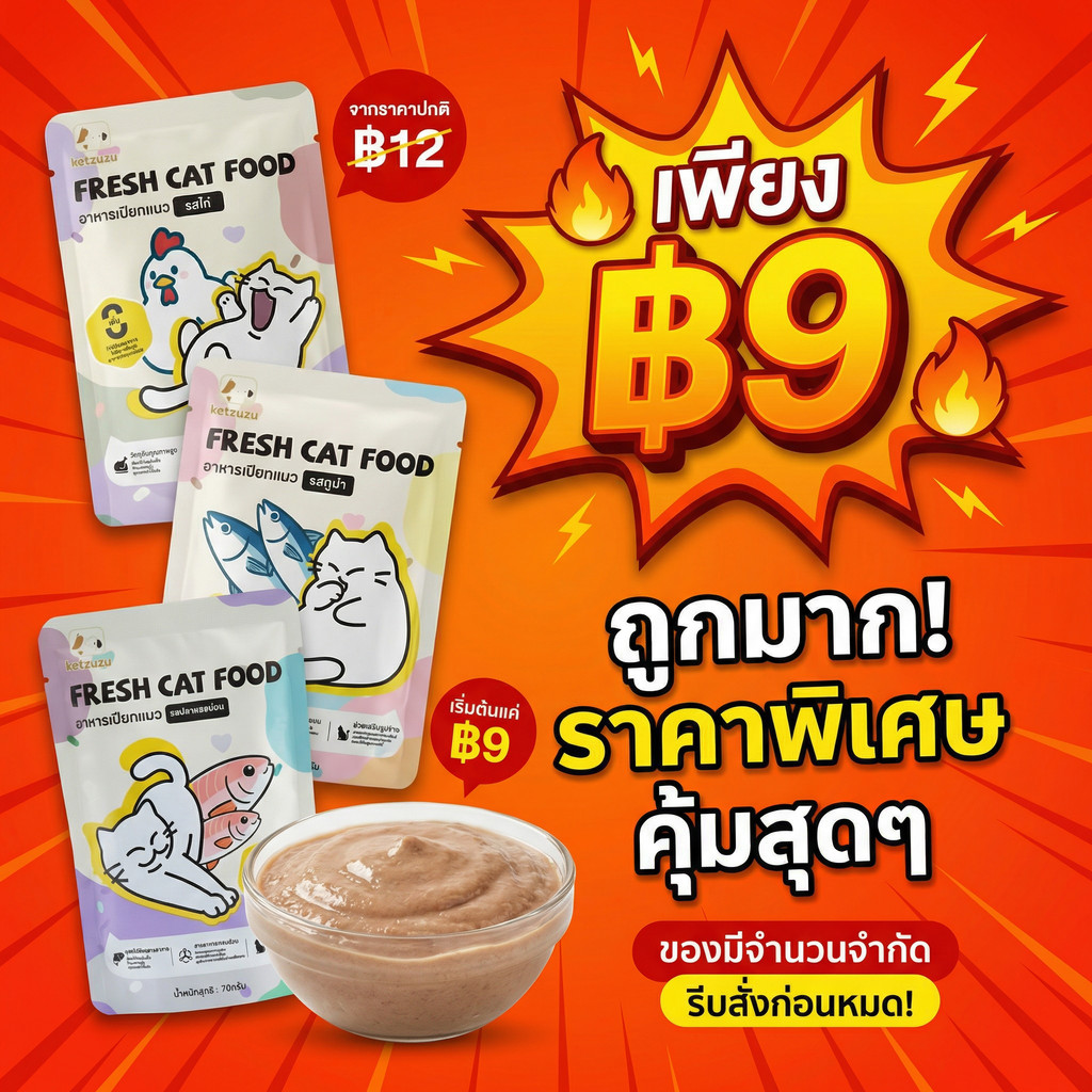 Ketzuzu อาหารเปียกแมว 70 กรัม โปรตีนสูงจากเนื้อแท้ อิ่มอร่อย ย่อยง่าย แมวกินยากต้องชอบ