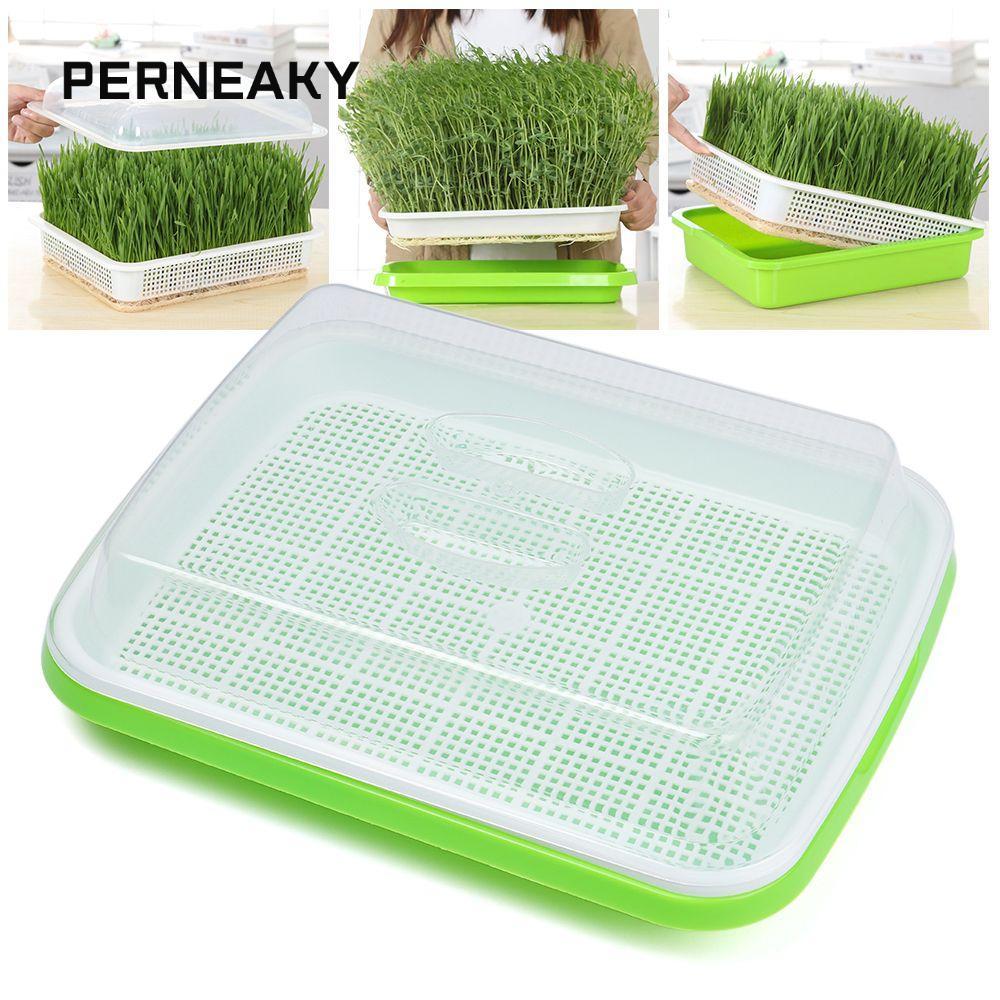 PERNEAKY Grow Nursery Potsant Home Garden Nursery Paper Sooilless Plant Box