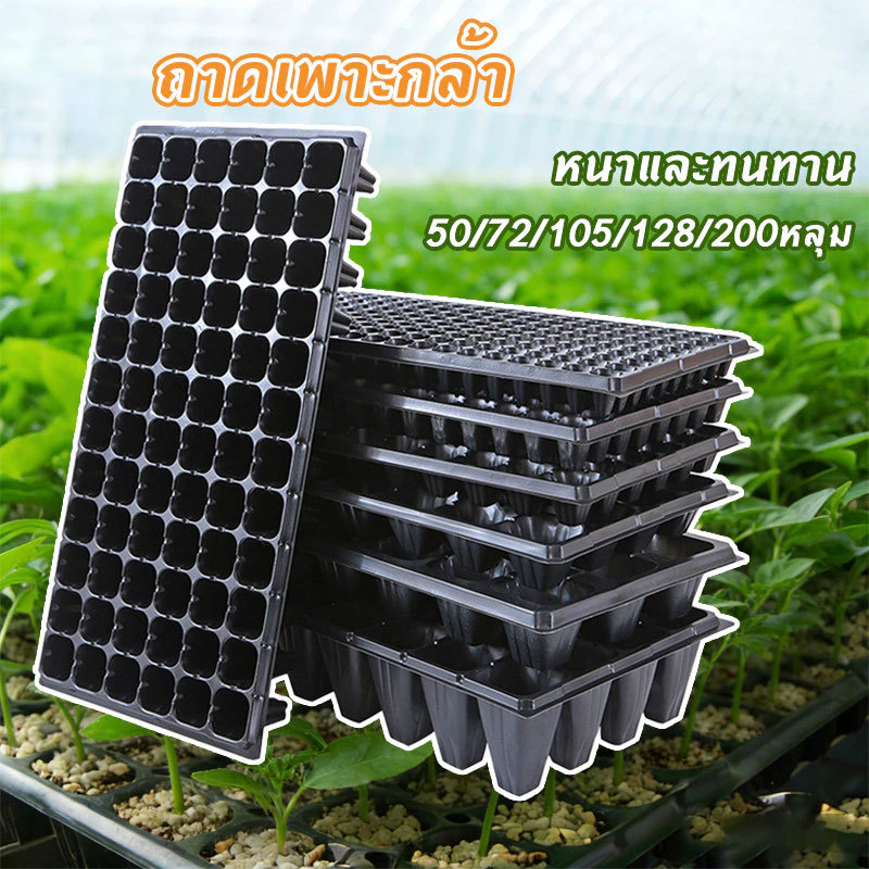 COD ถาดเพาะกล้า ถาดเพาะเมล็ด ถาดเพาะชำ ถาดเพาะผัก ต้นกล้า ต้นอ่อน ถาดเพาะไฮโดร 32,50,72,105,128,200 หลุม พร้อมส่งจากไทย