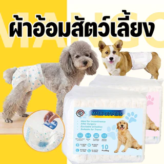 Mango ผ้าอ้อมสัตว์เลี้ยง ผ้าอ้อมสุนัขทิ้ง แพมเพิสสุนัข ตัวเมีย สำหรับสุนัขและแมว ผ้าอนามัยสุนัข ผ้าอ้อมสุนัขเพศผู้