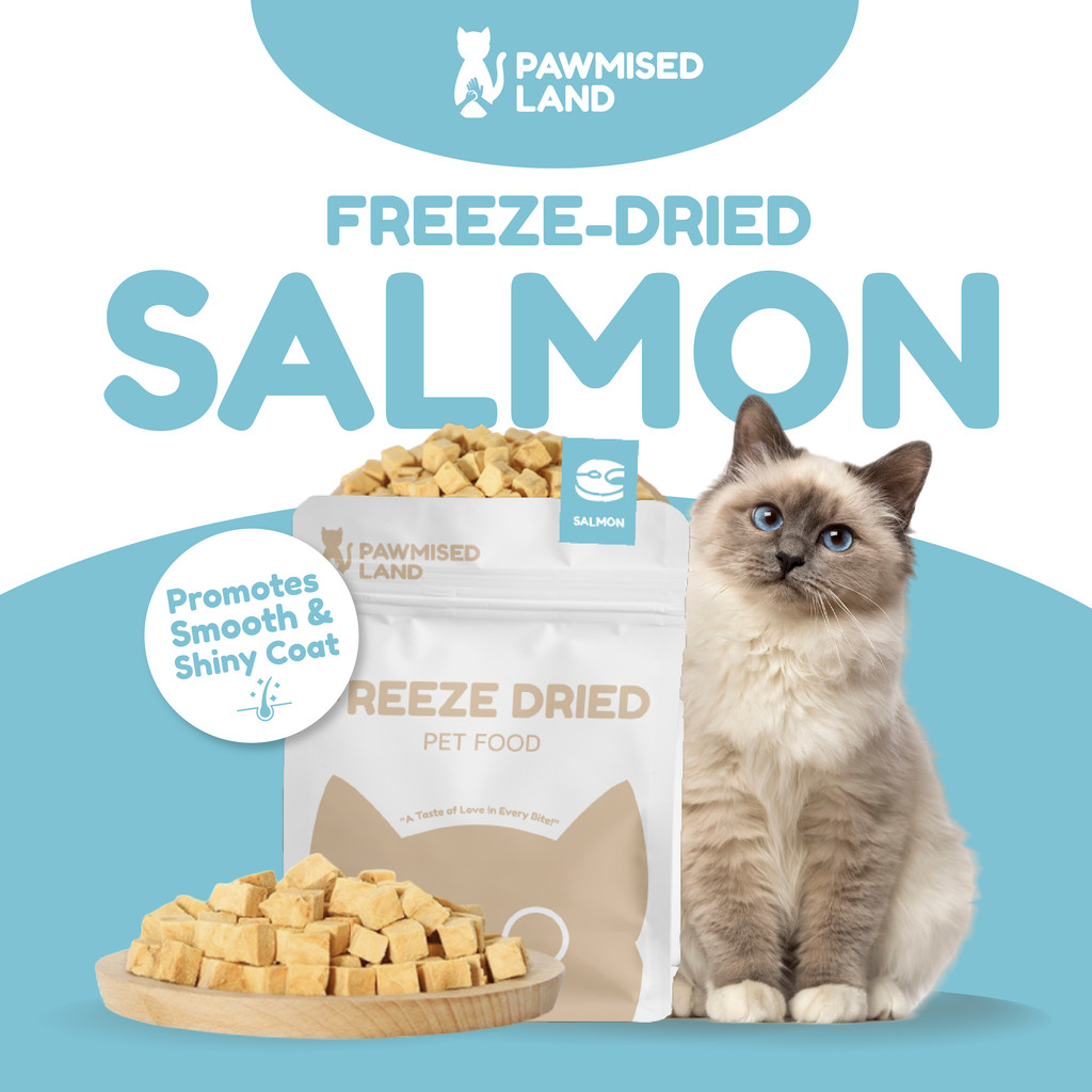 PawmisedLand Catty Munchies - Salmon Freeze Dry Pet Food 125g Premium Treats Pet Food อาหารแมว Makan