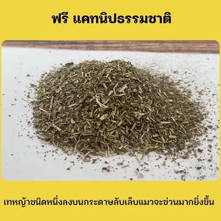 Mango พร้อมส่ง โซฟาที่ลับเล็บแมว แถมฟรี! กัญชาแมว มีชำระเงินปลายทาง COD ของใช้น้องแมว โซฟาลับเล็บแมว ที่ลับเล็บแมว