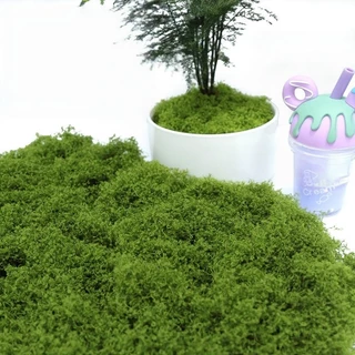 【พร้อมส่ง】มอสเทียม 100 กรัม - สำหรับตกแต่งจุลภูมิ DIY บอนไซ สวนหิน และฉากตกแต่ง