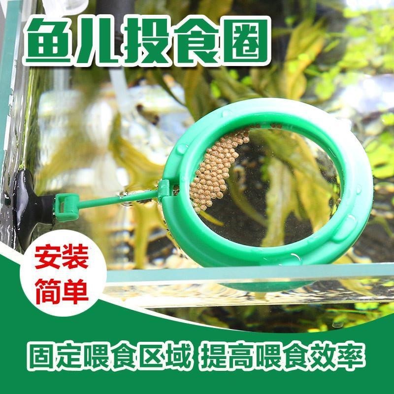 Sensen Fish Feed Circle Fish Feed Circle Fish Feed Circle Fish Feed Circle Aquariumg// Forest Fish F