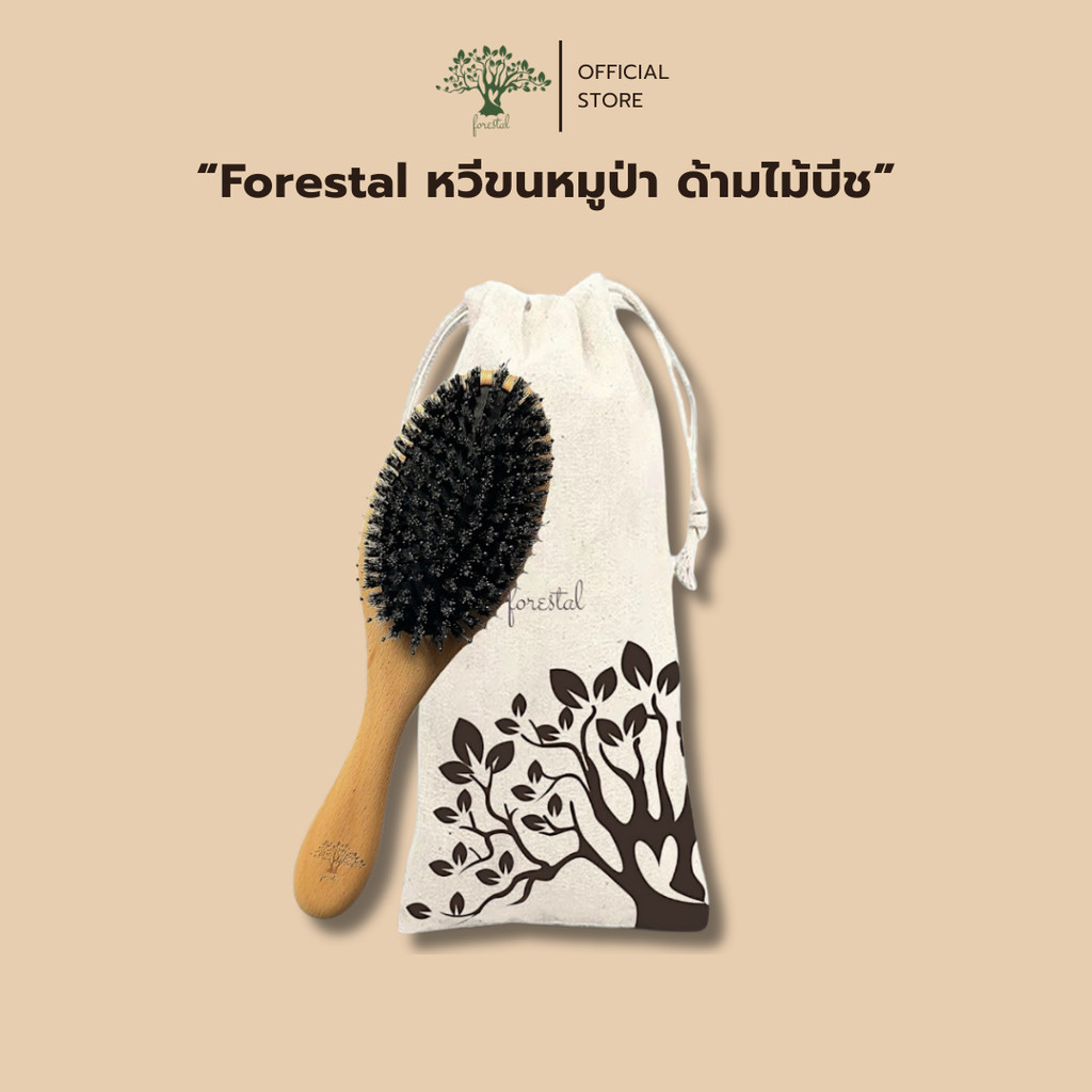 Forestal Boar Bristle hair brush หวีขนหมูป่า ด้ามไม้บีช ไซด์ M (Beechwood)