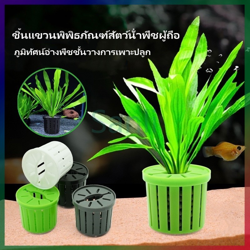 Sanli ชิ้นแขวนพิพิธภัณฑ์สัตว์น้ําพืชผู้ถือ กระถางปลูกพืชน้ำ อุปกรณ์ตู้ปลา ภูมิทัศน์อ่างพืชชั้นวางการเพาะปลูก