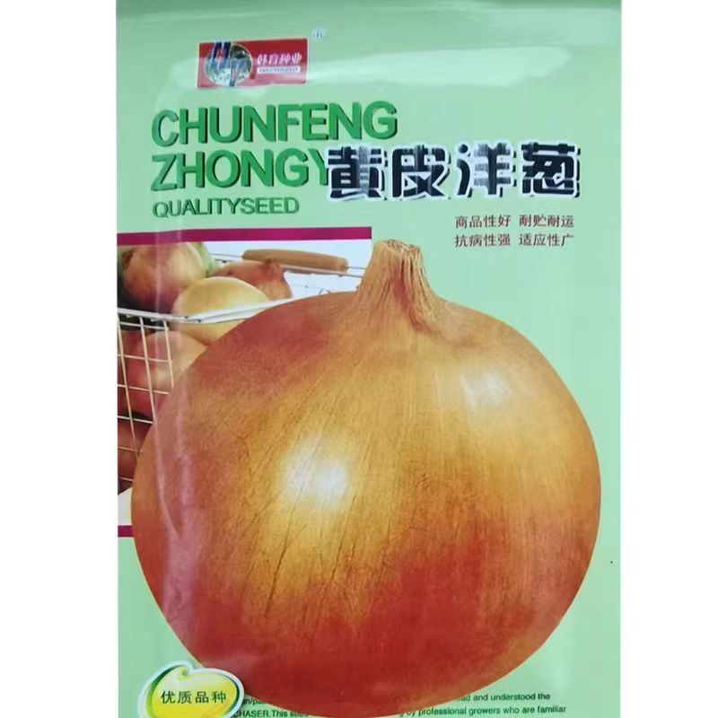 现货热卖黄皮洋葱种子籽洋葱籽圆葱特色蔬菜种早中熟四季蔬菜种孑Yellow Onion Seed Seeds Onion Seeds Onion Specialty Vegetable20260322