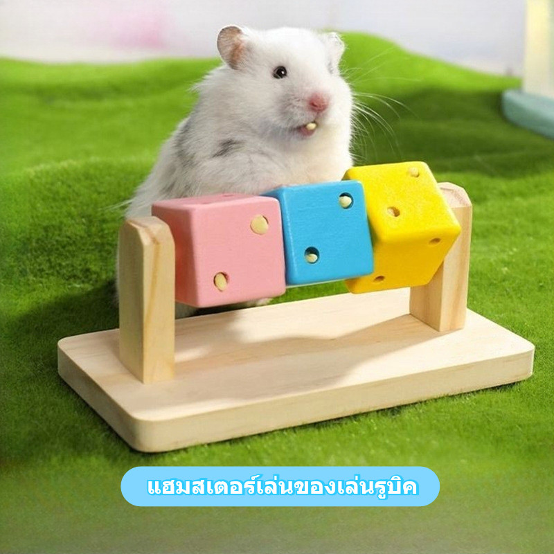 ของเล่นหนูแฮมสเตอร์ ลูกบาศก์รูบิกแสนสนุก ของเล่นดีเจเพื่อการผ่อนคลายและความบันเทิง ของเล่นเสริมการเรียนรู้ที่หลากหลายและสามารถเคี้ยวได้สำหรับหนูแฮมสเตอร์สีทองและหนูแฟนซี