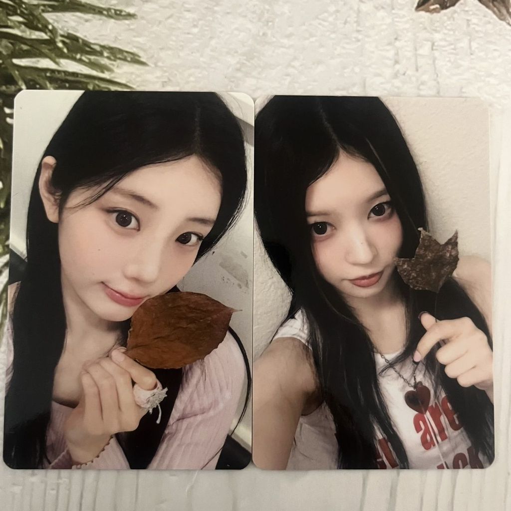 Illit Gift yzy Maple Leaf 4 ของขวัญ illit ตลอด Entertain yzy Lucky Card Maple Leaf