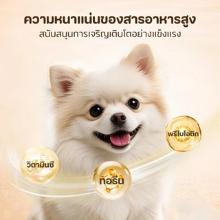 🐱อาหารเปียกสุนัข ขนมสำหรับสุนัข สุนัขทุกสายพันธุ์และทุกวัย บำรุงสุขภาพลำไส้และผิวหนัง รสชาติอร่อย