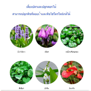 กรองตู้ปลานิเวศ กล่องกรองตู้ปลา ถังกรอง วงจรนิเวศวิทยา เพิ่มออกซิเจน เลี้ยงปลา เลี้ยงดอกไม้