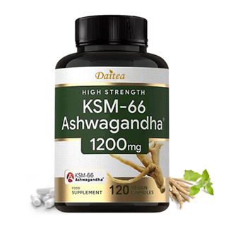 KSM-66 อาหารเสริม Ashwagandha - กระตุ้นความเครียด ปรับปรุงอา…