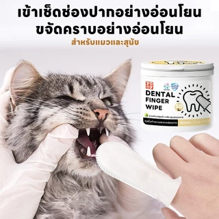 แท้100% yoyopet : ผ้าเช็ดฟันแมว-หมา 50ชิ้น ลดคราบหินปูน ขจัดกลิ่นปาก ต้านแบคทีเรียสูงถึง 99.9% พร้อมส่ง!!